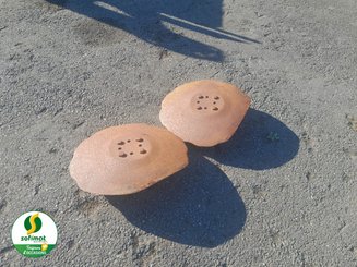 Piezas y herramientas del suelo Agrisem DISCOMULCH - 5