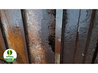 Empajadoras Lucas ABEILLE12 - 4